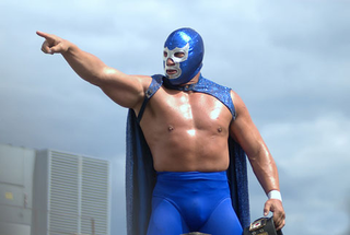 Blue Demon Jr.